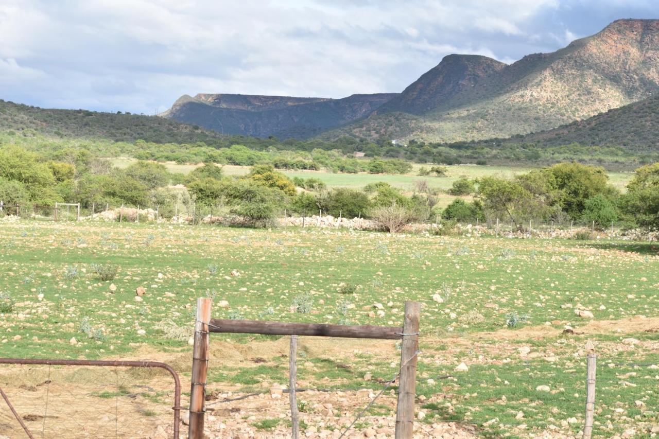 Baviaanskloof Guest Cottages Studtis エクステリア 写真